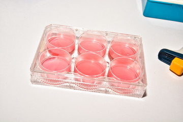 Cell technologies in biological research.