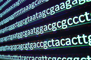Sequence DNA.