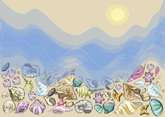 Fototapeta na wymiar Summer design, background with different sea shells vector