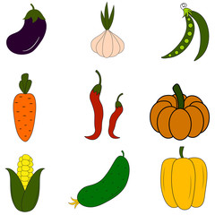 Set of vegetables icons on white background