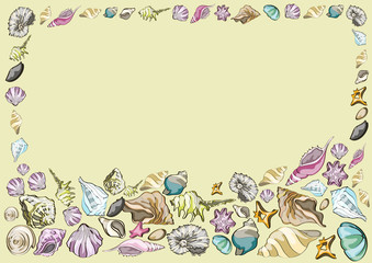 summer design,  frame with  different  sea  shells , vector