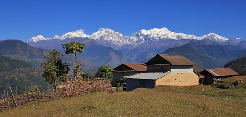 Scene on the way to Ghale Gaun, Nepal. Houses and fig tree in front of snow capped mountains....