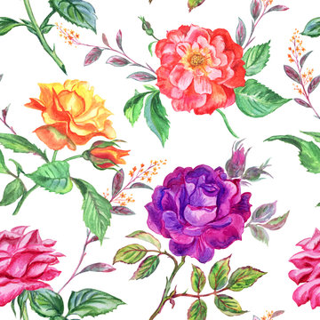 Seamless watercolor pattern of multi-colored roses on a white background.