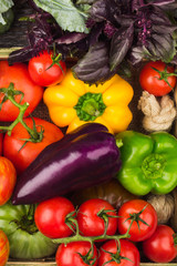 Set of different fresh colorful vegetables