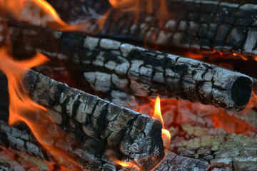 The fire for the barbecue.