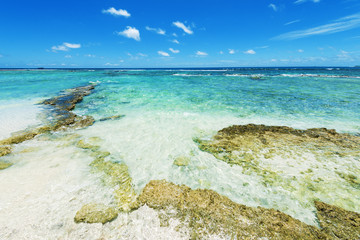 Tropical landscape, turquoise water.Copy space