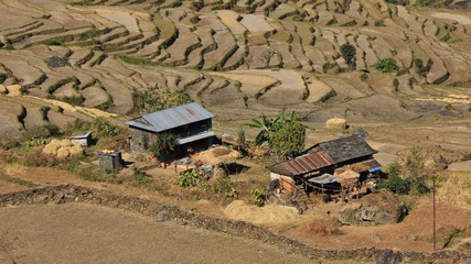 Farmhouse and rice terraces in the Annapurna Conservation Area, Nepal.