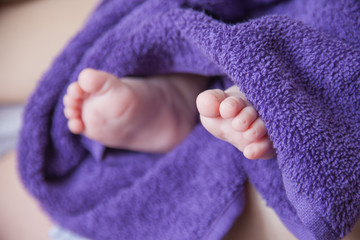 Baby feet folded in purple towel