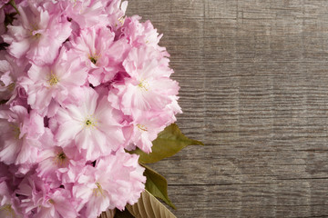 Fototapeta na wymiar Pink Kwanzan cherry blossoms on a wooden background with copy space
