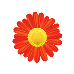 Red flower icon. Colorful solid pattern on a white background.