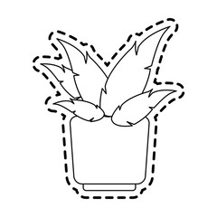 potted plant icon image vector illustration design 