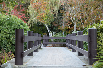 A bridge in beautiful garden 