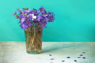 Bouquets of purple spring violet in glass near the window