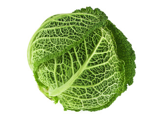 Fototapeta premium Ripe savoy cabbage on a white background
