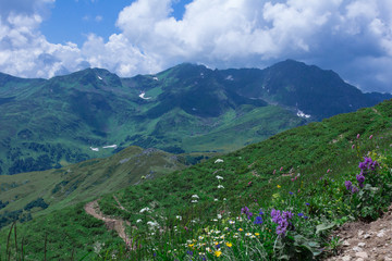 Naklejka na ściany i meble Beautiful mountains view. Landscape with alpine meadows.