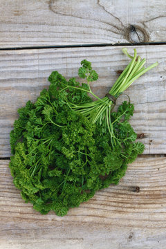 Bouquet of parsley on a table of old wooden boards