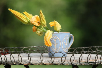 Fiori di zucca in mug