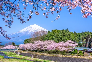 Cercles muraux Printemps Mont Fuji au printemps