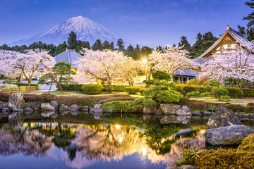  Gardens and Mt. Fuji in spring from Shizuoka, Japan. © SeanPavonePhoto