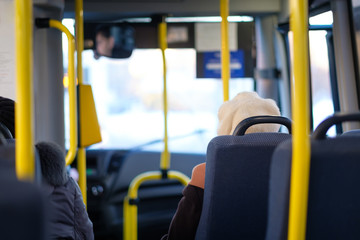 Interior of modern city mini bus close up of front seats and hangers