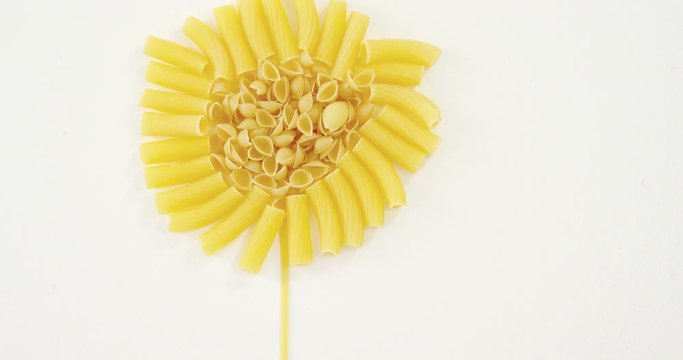 Various pasta arranged in sunflower shaped on white background