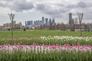 Tulips and Maslak Business Centers