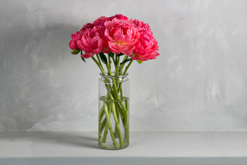 Bouquet of fresh coral peony flowers in glass vase on wood table and gray background. Grade of flowers CoralSharm