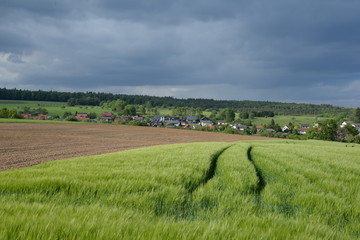 Fototapeta na wymiar Felder bei Rimhorn, Odenwald