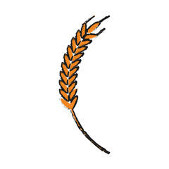 wheat ear icon over white background. vector illustration