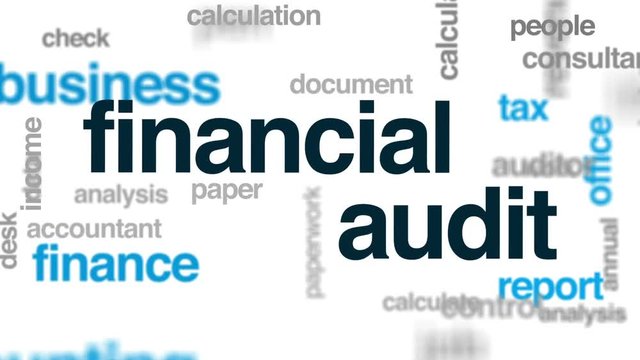 Financial audit animated word cloud, text design animation.