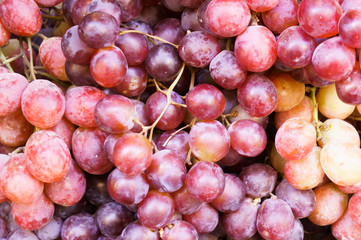 Uvas de la Toscana