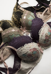 Stylish female lace  lingerie with embroidery