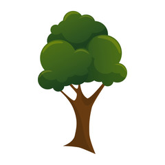 natural tree plant icon vector illustration design
