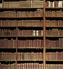 old books in the nationla library of Vienna.