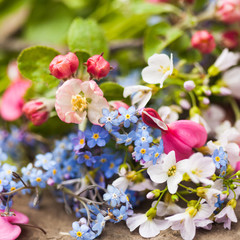 Spring flowers close up