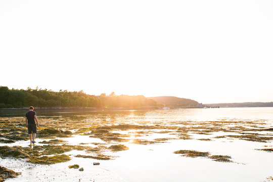 Man walking through seaweed at low tide