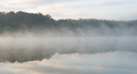 Foggy Morning at the Lake