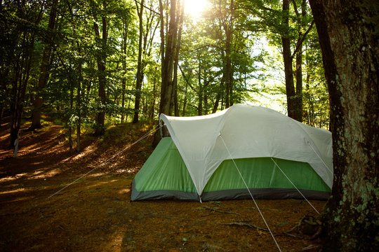 Green tent pitched in forest