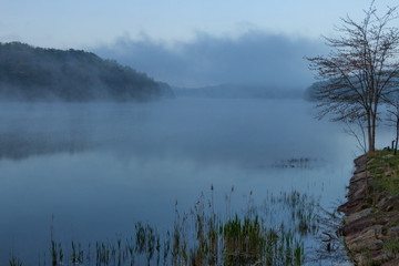 Foggy Morning at the Lake