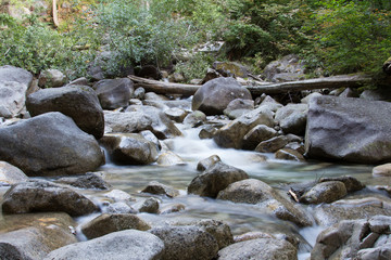 Mountain Stream 