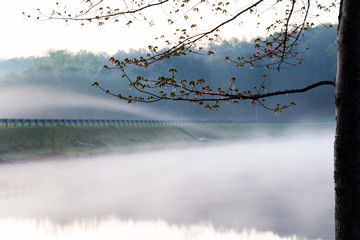Foggy Morning at the Lake
