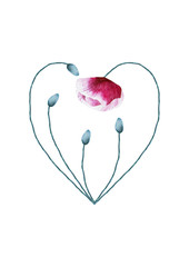 Watercolor poppy flower heart on white background