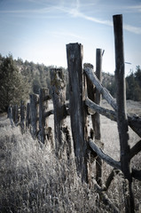 Fenceposts in the desert - 145168019
