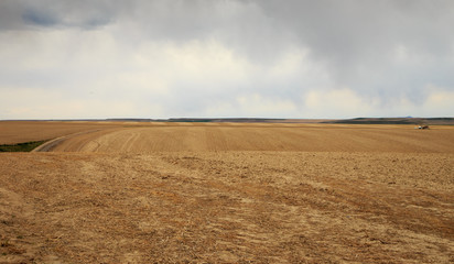 Farm Field.