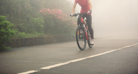cyclist riding mountain bike on foggy forest trail