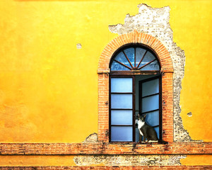 Obraz premium Window on Colorful Wall in Siena Italy