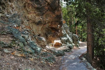 Lower Falls Hike (3)