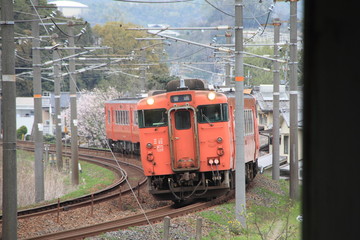 Fototapeta premium 機動車