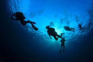 Deurstickers Scuba diving © Richard Carey