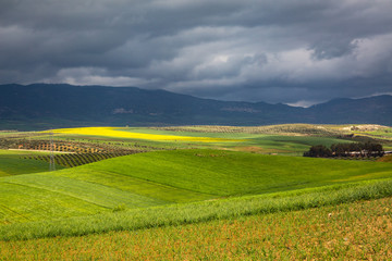 Spring landscape around Fes, Morocco